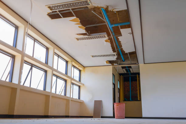 Best Water damage restoration near me  in Broadlands, VA