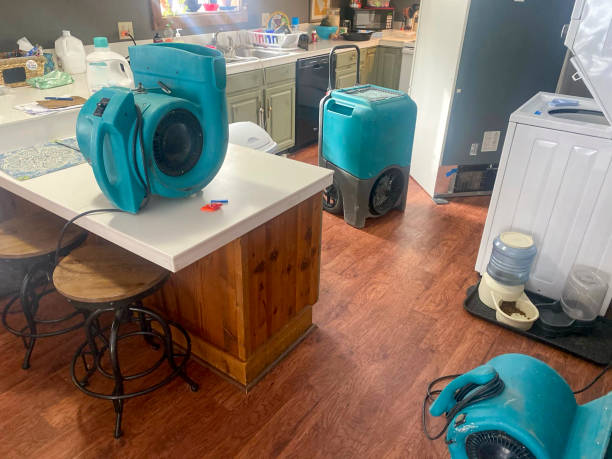 Best Water damage cleanup near me  in Broadlands, VA
