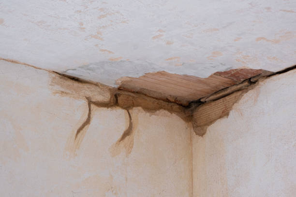 Best Ceiling water damage repair  in Broadlands, VA