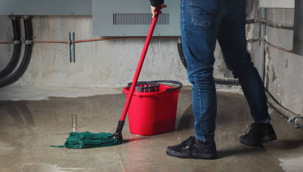 Best Fire Damage Restoration  in Broadlands, VA