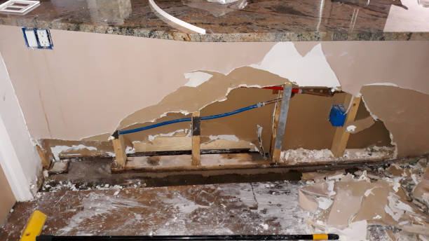 Best Professional water damage repair  in Broadlands, VA