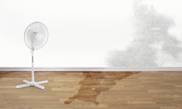Best Water damage restoration near me  in Broadlands, VA